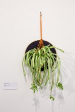An artwork of a textile spider plant, embroidered and crocheted in wool.